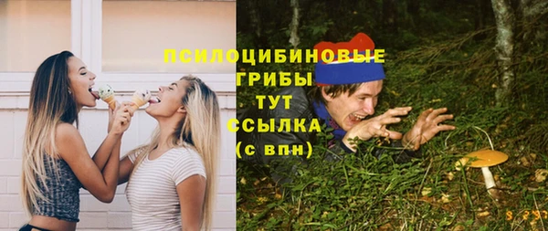 первитин Нягань